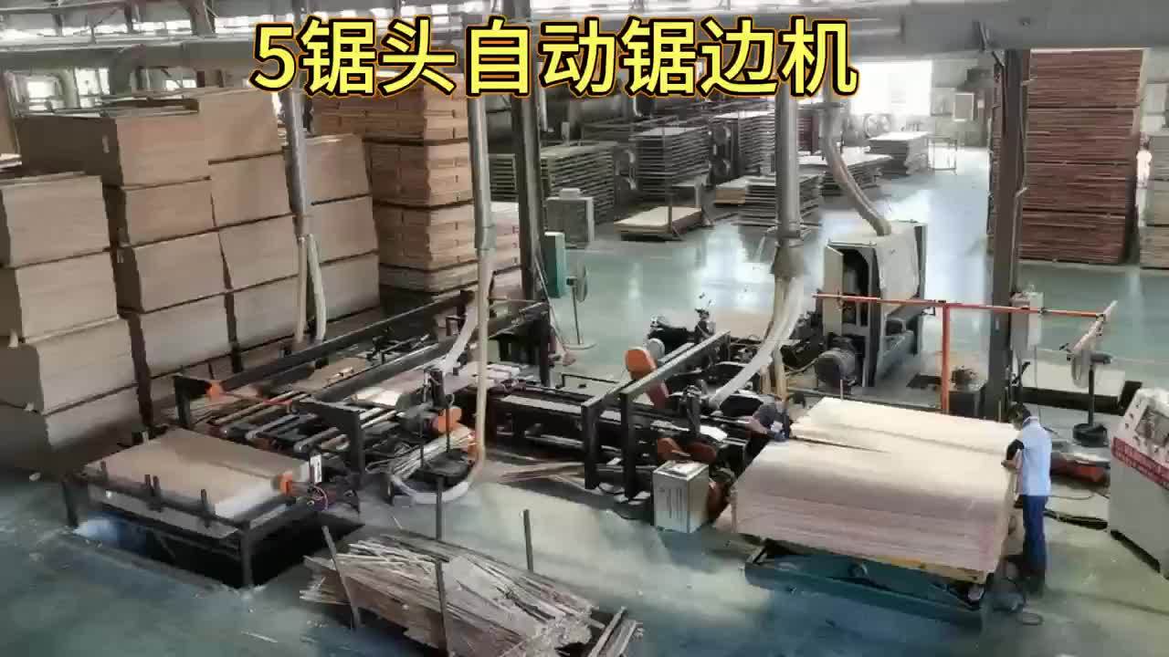 多種規(guī)格鋸邊機(jī)詳情視頻